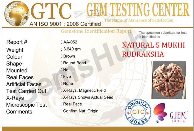 5 Mukhi Natural Certified Rudraksha Size- 21 mm Premium